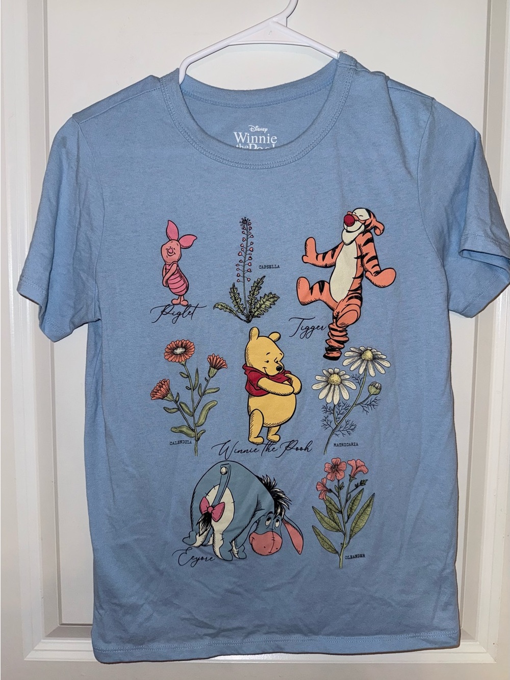 Disney Light Blue Winnie the Pooh Floral Character Tee Size X-Small